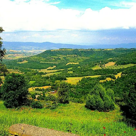 Santa Maria Della Concezione Castel Giorgio